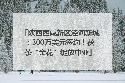 陕西西咸新区泾河新城：300万美元签约！茯茶“金花”绽放中亚