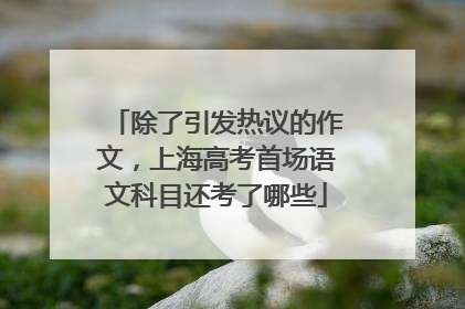 除了引发热议的作文，上海高考首场语文科目还考了哪些