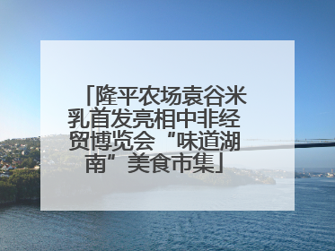 隆平农场袁谷米乳首发亮相中非经贸博览会“味道湖南”美食市集