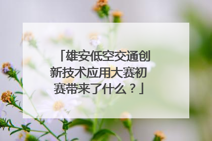 雄安低空交通创新技术应用大赛初赛带来了什么？