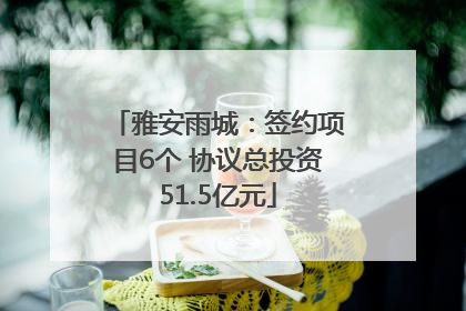 雅安雨城：签约项目6个 协议总投资51.5亿元