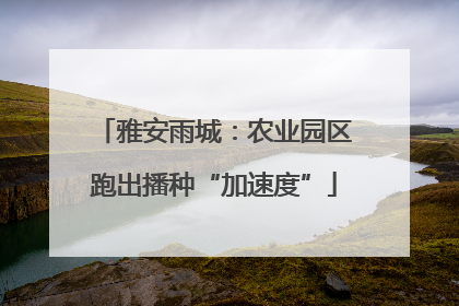 雅安雨城：农业园区跑出播种“加速度”