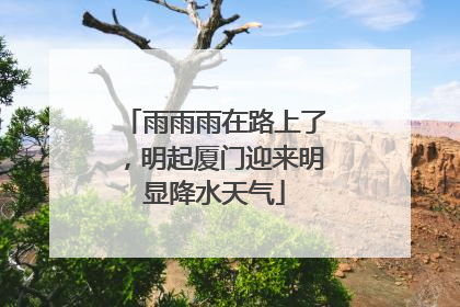 雨雨雨在路上了，明起厦门迎来明显降水天气