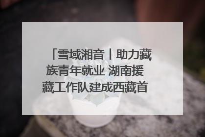 雪域湘音丨助力藏族青年就业 湖南援藏工作队建成西藏首个清洁能源装备园
