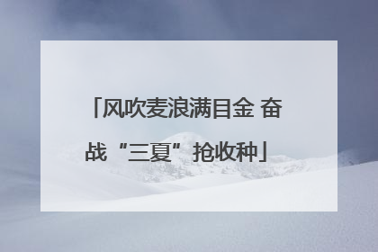 风吹麦浪满目金 奋战“三夏”抢收种