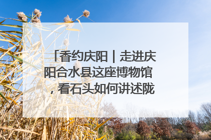 香约庆阳｜走进庆阳合水县这座博物馆，看石头如何讲述陇东千年历史