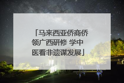 马来西亚侨商侨领广西研修 学中医看非遗谋发展
