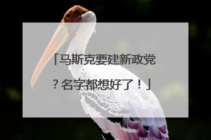 马斯克要建新政党？名字都想好了！