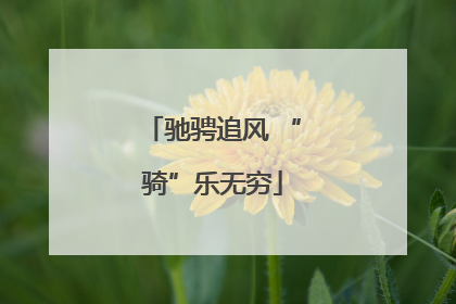驰骋追风 “骑”乐无穷