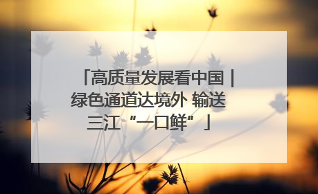 高质量发展看中国｜绿色通道达境外 输送三江“一口鲜”