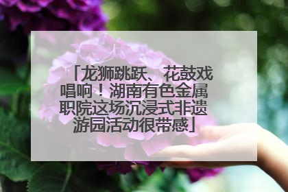 龙狮跳跃、花鼓戏唱响！湖南有色金属职院这场沉浸式非遗游园活动很带感