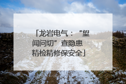 龙岩电气：“望闻问切”查隐患 精检精修保安全