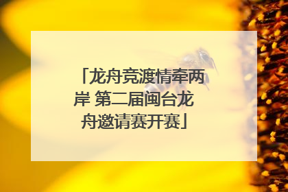 龙舟竞渡情牵两岸 第二届闽台龙舟邀请赛开赛