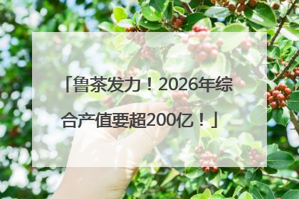 鲁茶发力！2026年综合产值要超200亿！