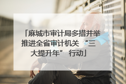麻城市审计局多措并举推进全省审计机关 “三大提升年” 行动