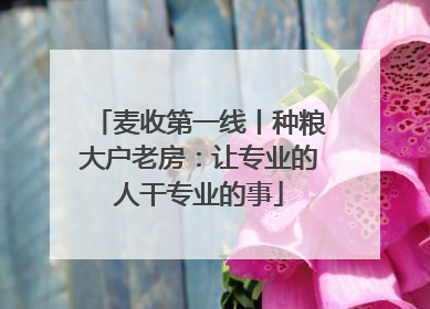麦收第一线丨种粮大户老房：让专业的人干专业的事