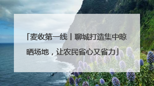 麦收第一线丨聊城打造集中晾晒场地，让农民省心又省力