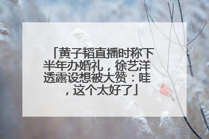 黄子韬直播时称下半年办婚礼，徐艺洋透露设想被大赞：哇，这个太好了