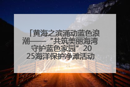 黄海之滨涌动蓝色浪潮——“共筑美丽海湾 守护蓝色家园”2025海洋保护净滩活动暨“美丽江苏—江河湖海青蓝行”海洋篇在连云港举行