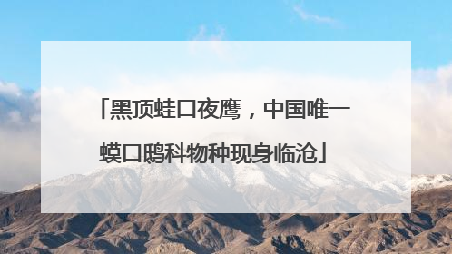 黑顶蛙口夜鹰，中国唯一蟆口鸱科物种现身临沧