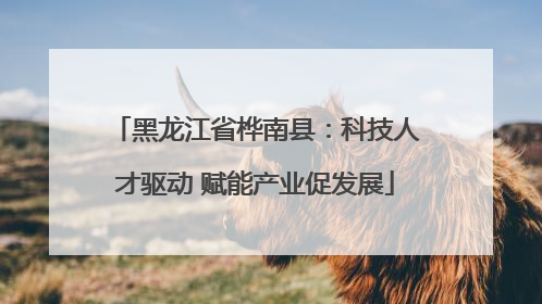 黑龙江省桦南县：科技人才驱动 赋能产业促发展