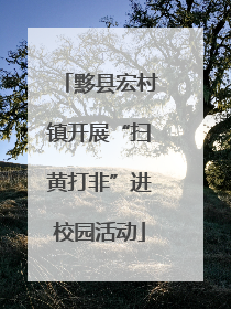 黟县宏村镇开展“扫黄打非”进校园活动