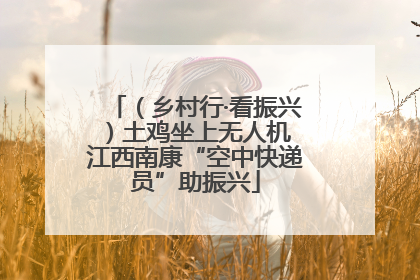 （乡村行·看振兴）土鸡坐上无人机 江西南康“空中快递员”助振兴