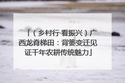 （乡村行·看振兴）广西龙脊梯田：背篓变迁见证千年农耕传统魅力