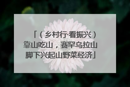 （乡村行·看振兴）靠山吃山，赛罕乌拉山脚下兴起山野菜经济