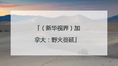 （新华视界）加拿大：野火蔓延