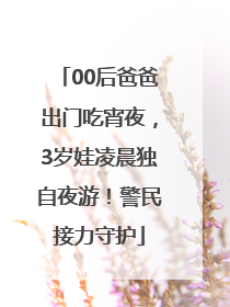 00后爸爸出门吃宵夜，3岁娃凌晨独自夜游！警民接力守护