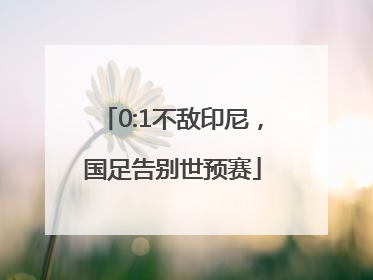 0:1不敌印尼，国足告别世预赛