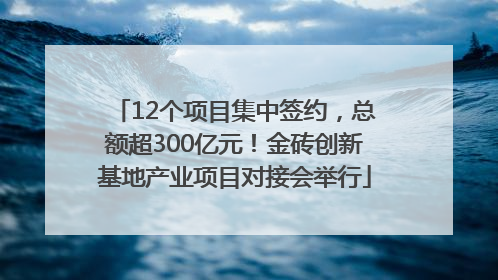 12个项目集中签约，总额超300亿元！金砖创新基地产业项目对接会举行