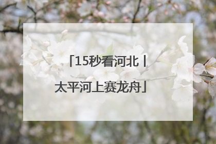 15秒看河北丨太平河上赛龙舟