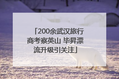 200余武汉旅行商考察英山 毕昇漂流升级引关注