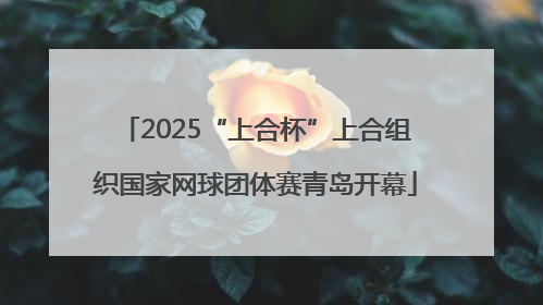 2025“上合杯”上合组织国家网球团体赛青岛开幕
