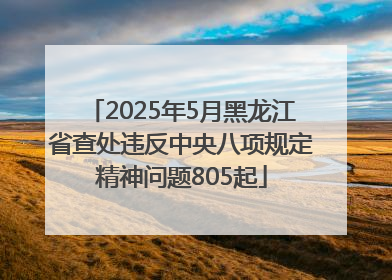 2025年5月黑龙江省查处违反中央八项规定精神问题805起