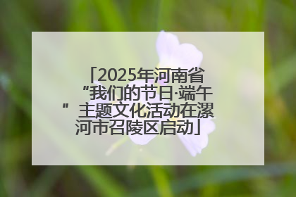 2025年河南省“我们的节日·端午”主题文化活动在漯河市召陵区启动
