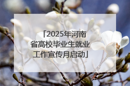2025年河南省高校毕业生就业工作宣传月启动