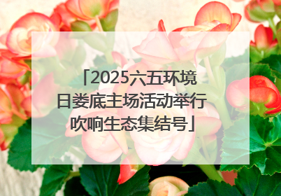 2025六五环境日娄底主场活动举行 吹响生态集结号