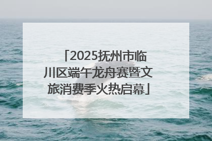 2025抚州市临川区端午龙舟赛暨文旅消费季火热启幕