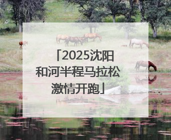 2025沈阳和河半程马拉松激情开跑