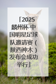 2025麟州杯·中国明星足球队邀请赛（陕西神木）发布会成功举行