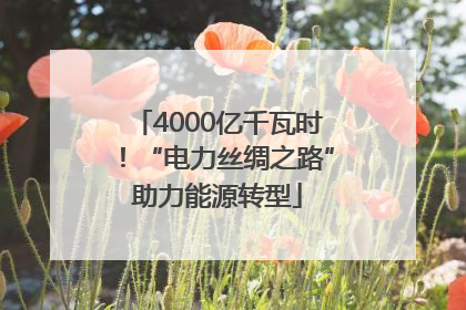 4000亿千瓦时！“电力丝绸之路”助力能源转型