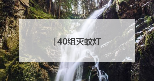 40组灭蚊灯上岗，科技助力居民安然度夏