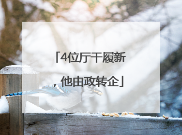 4位厅干履新，他由政转企