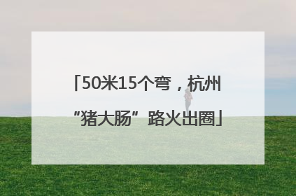 50米15个弯，杭州“猪大肠”路火出圈
