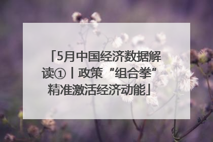 5月中国经济数据解读①丨政策“组合拳”精准激活经济动能