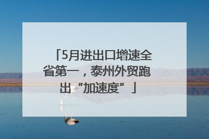 5月进出口增速全省第一，泰州外贸跑出“加速度”
