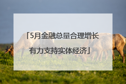5月金融总量合理增长 有力支持实体经济